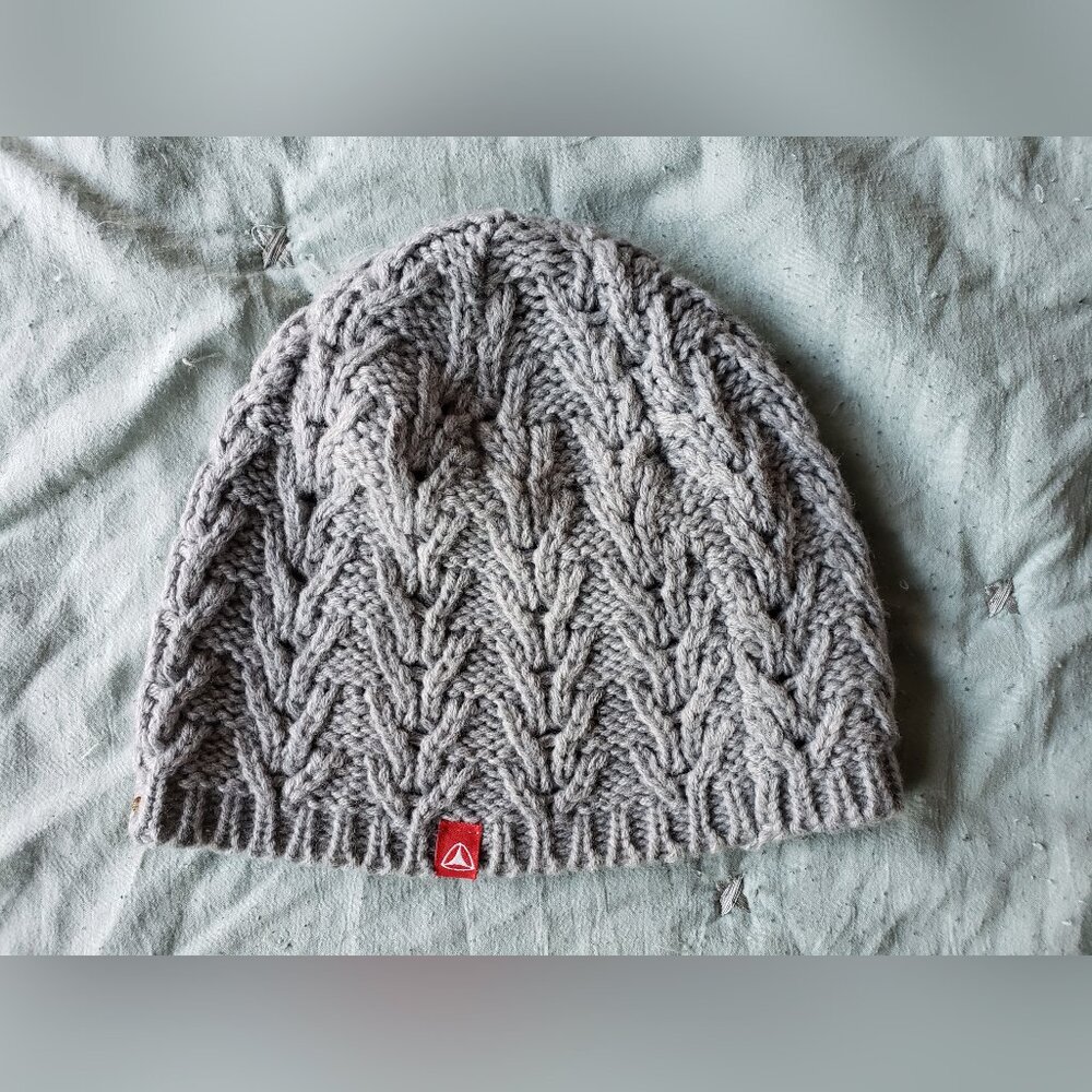 Active Ride Shop Vintage Beanie (Gray) NWOT Y2K